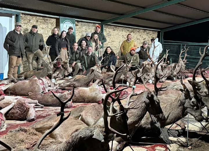 Resultado Montería Carrascalejo 2025 Sierra Extremadura